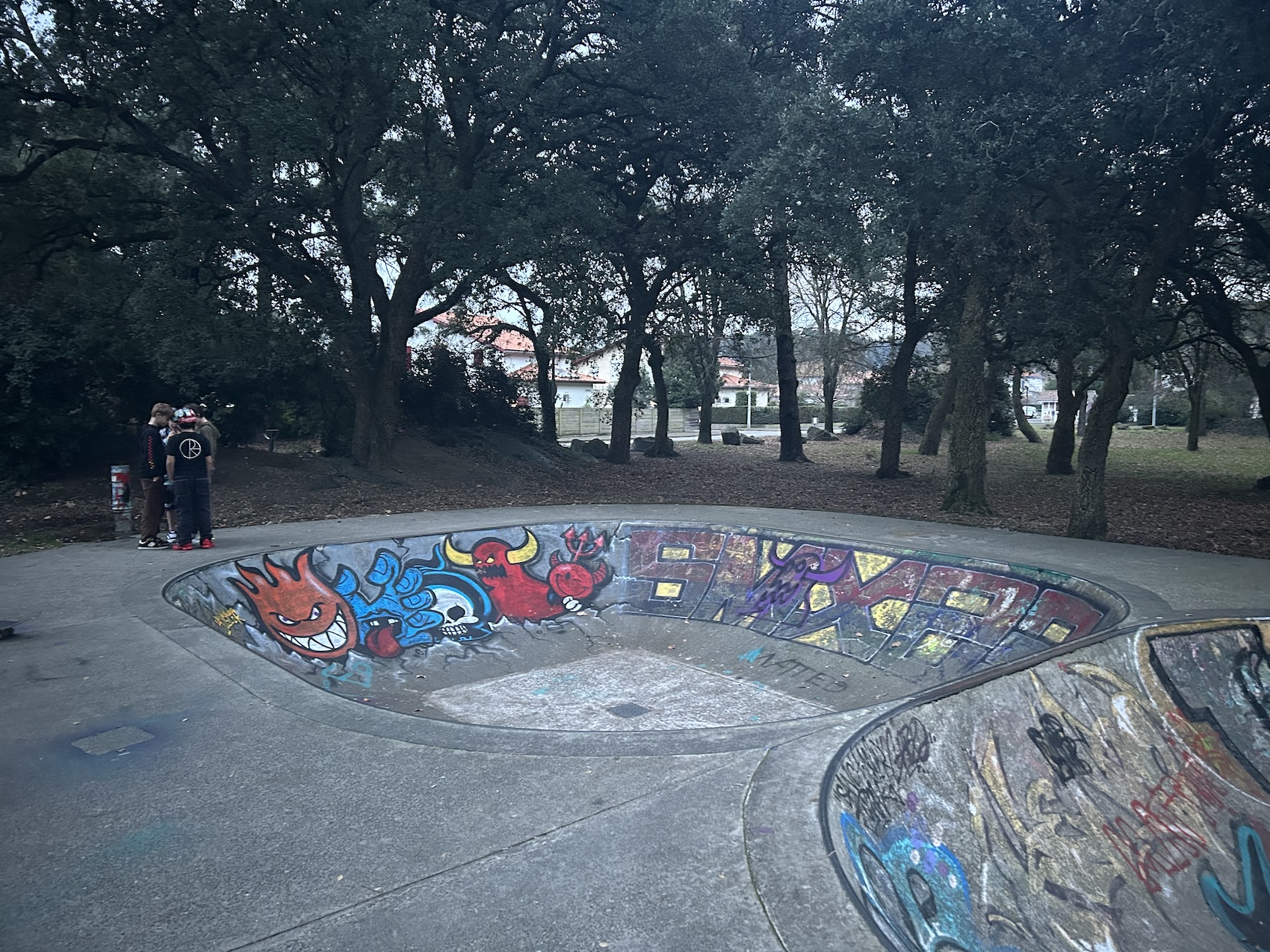 Tarnos skatepark